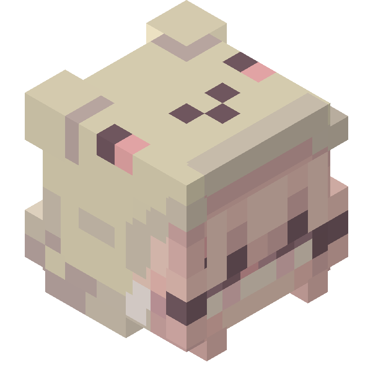 HEAD_ISO