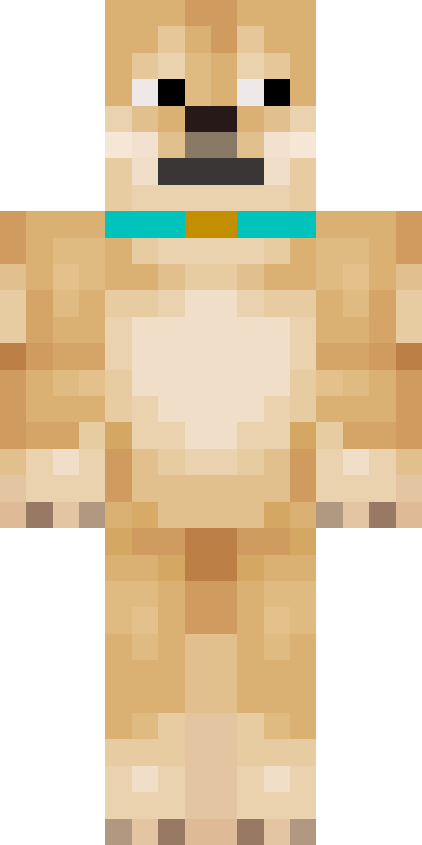 BODY