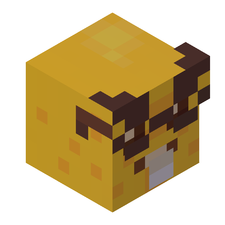 HEAD_ISO