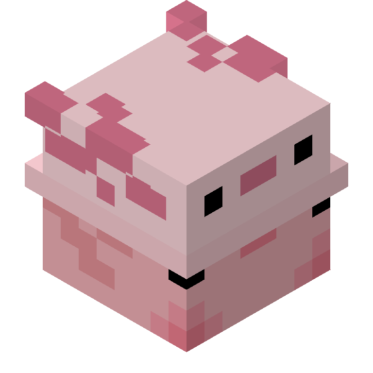 HEAD_ISO