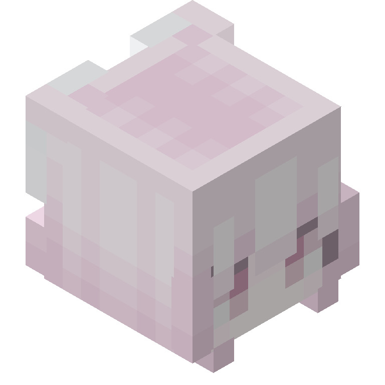 HEAD_ISO