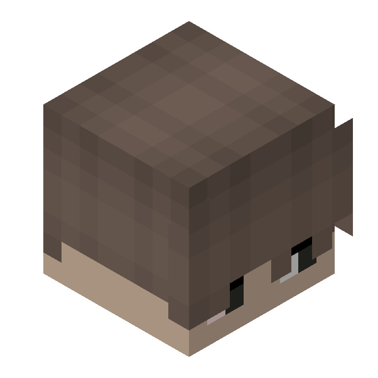 HEAD_ISO