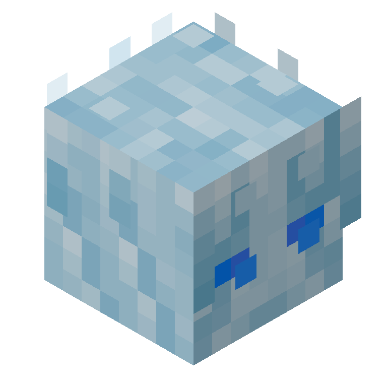 HEAD_ISO