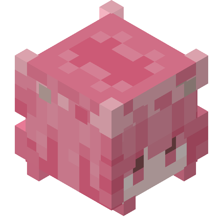 HEAD_ISO