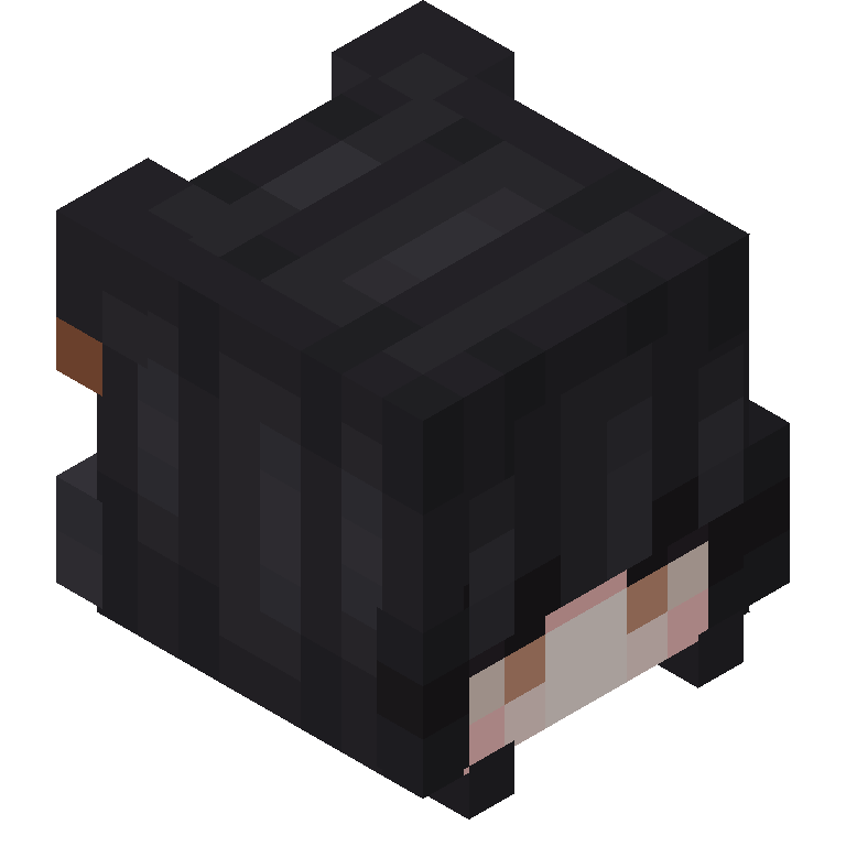 HEAD_ISO