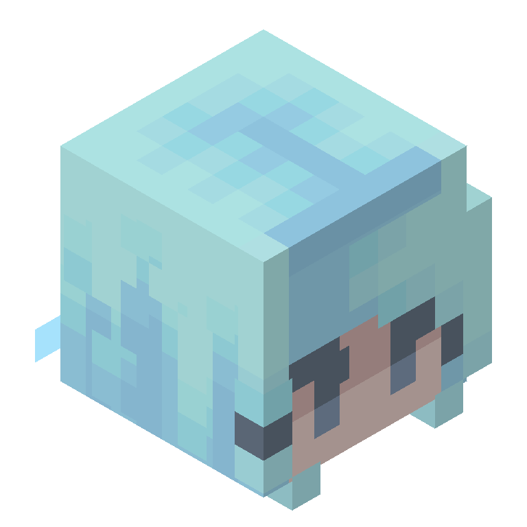 HEAD_ISO