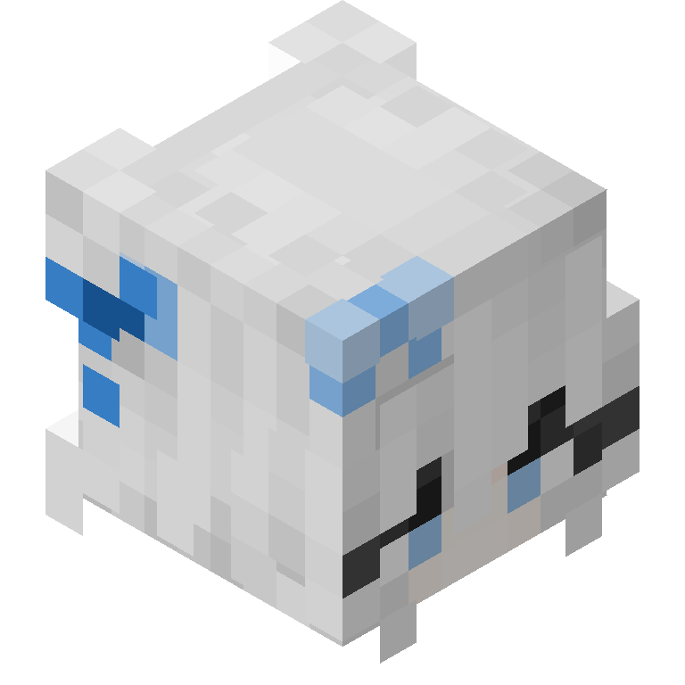 HEAD_ISO
