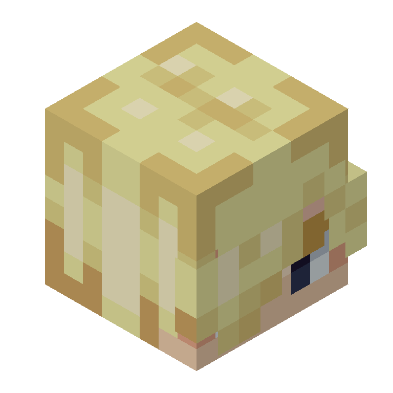 HEAD_ISO