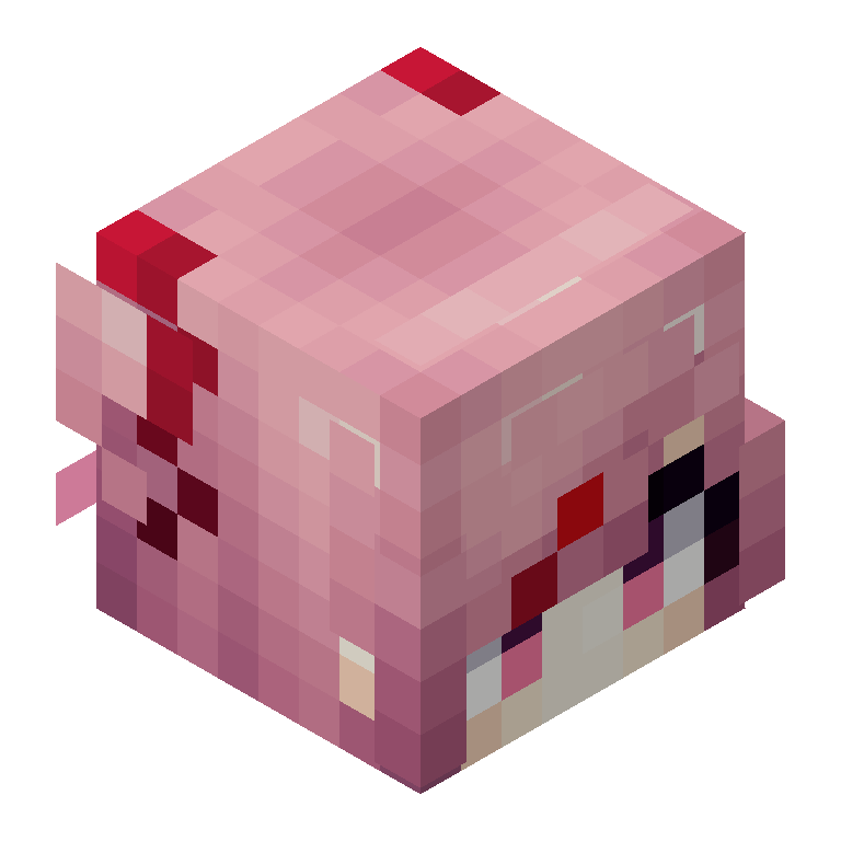 HEAD_ISO