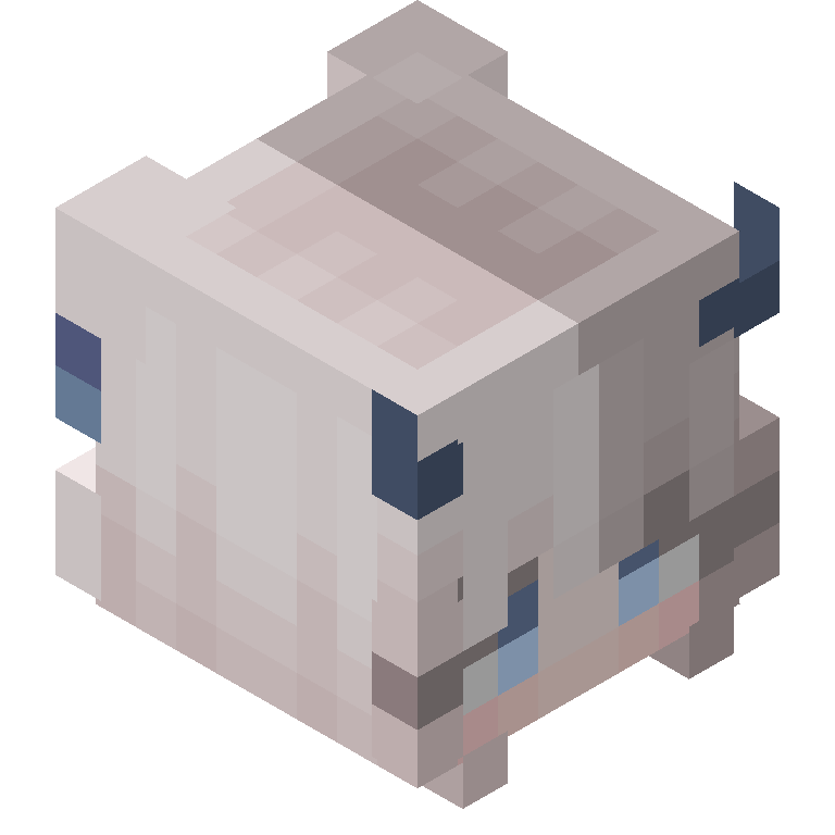 HEAD_ISO