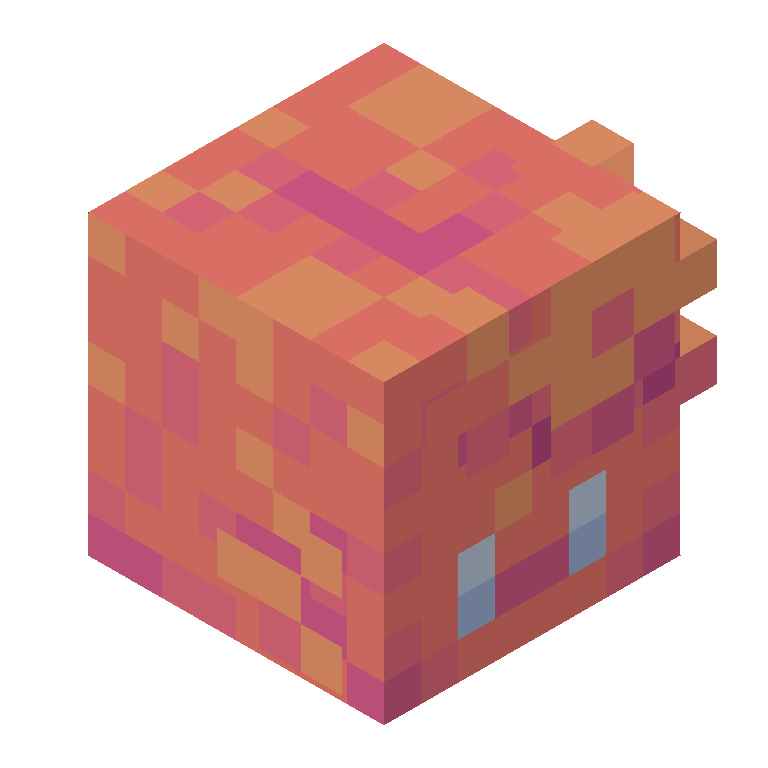 HEAD_ISO