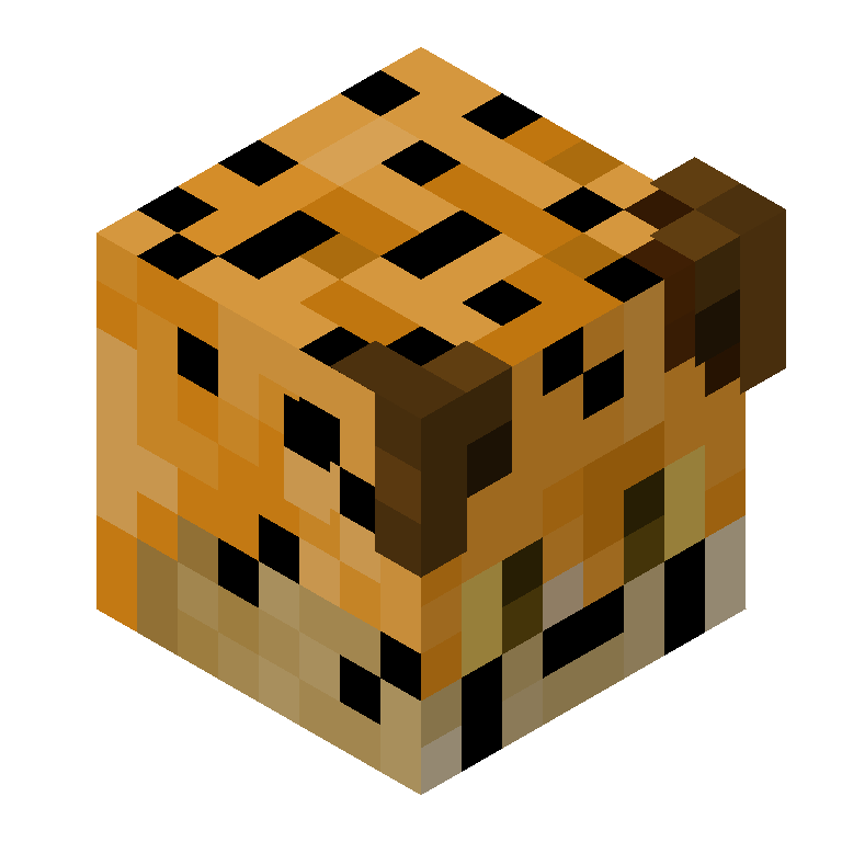 HEAD_ISO