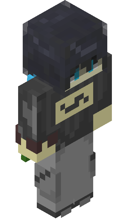 QINEIQ skin - FULLBODY_ISO_FRONT