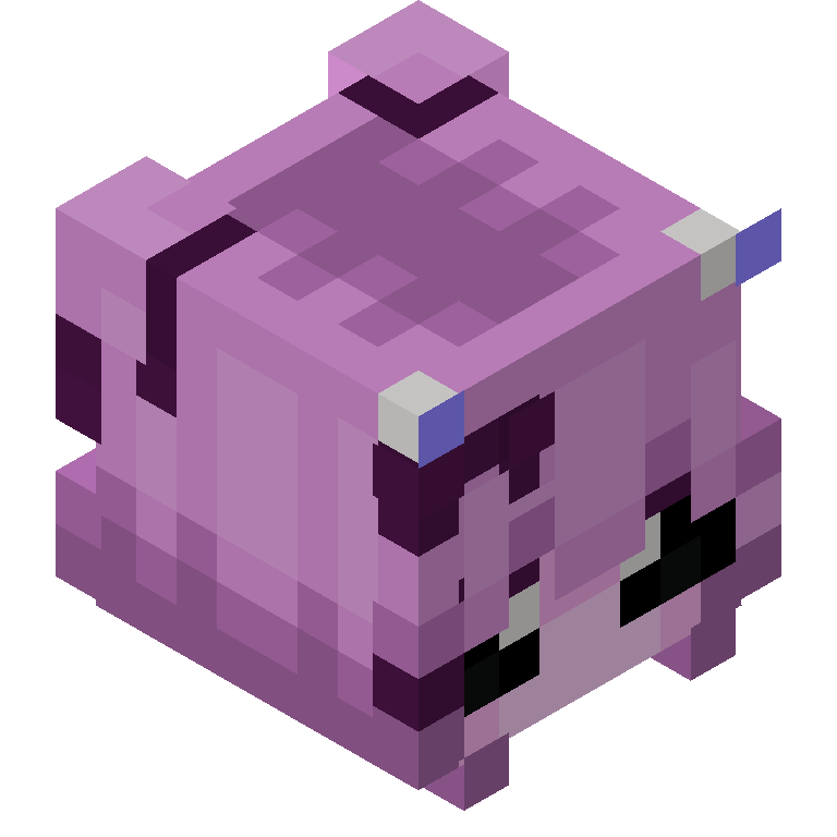 HEAD_ISO
