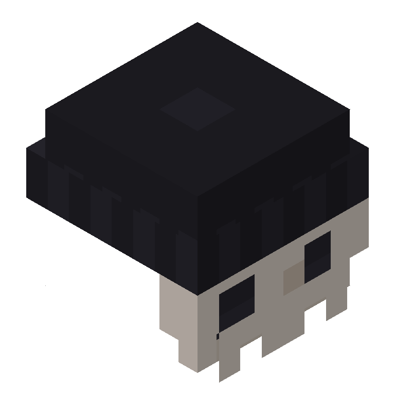 HEAD_ISO