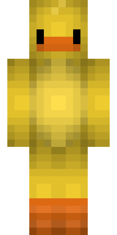 BODY