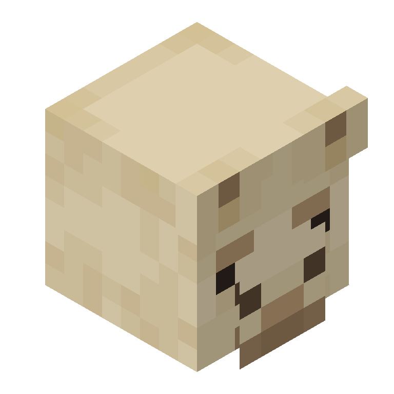 HEAD_ISO