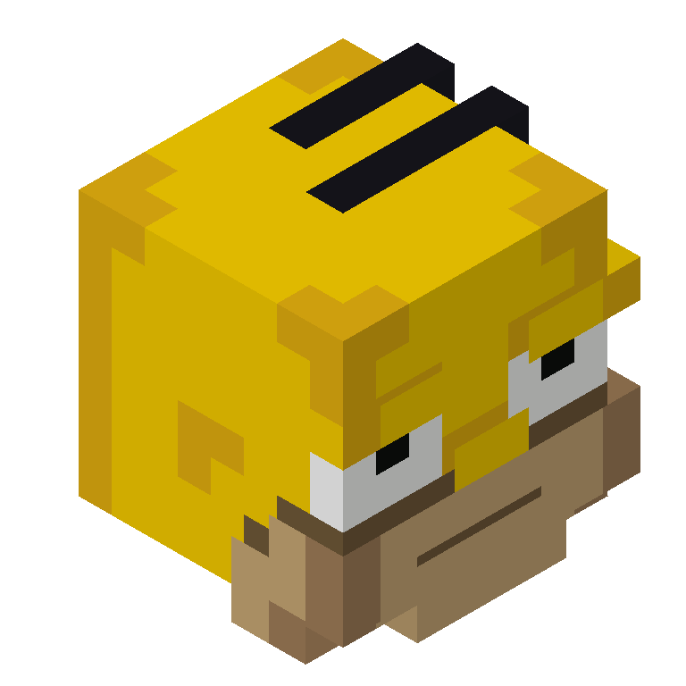 HEAD_ISO