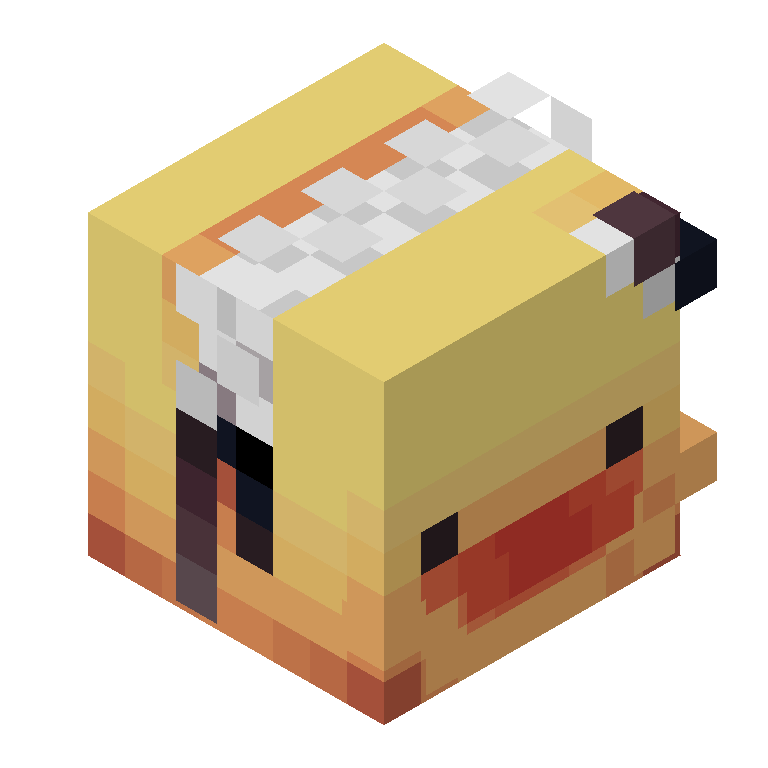 HEAD_ISO