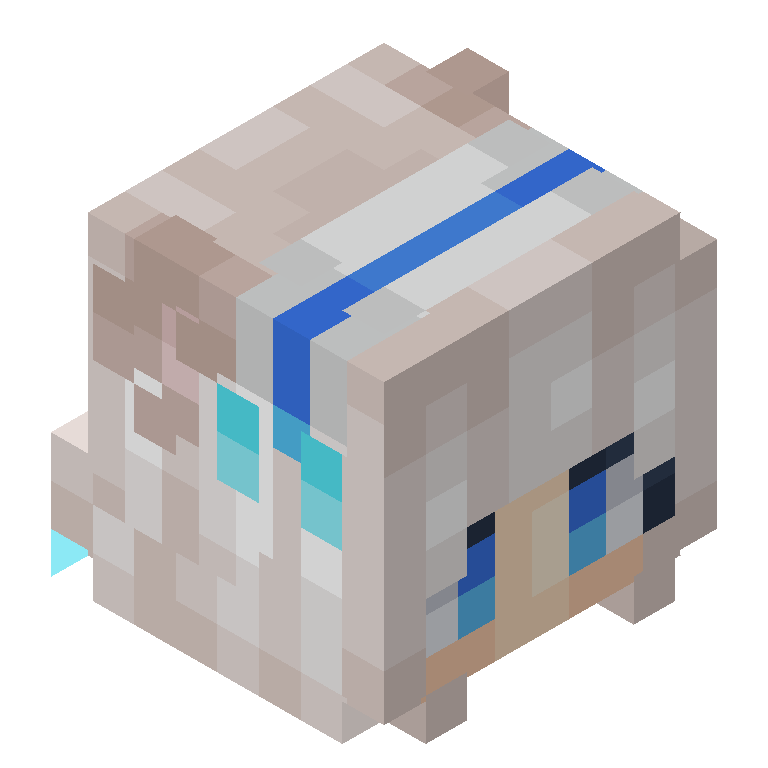 HEAD_ISO