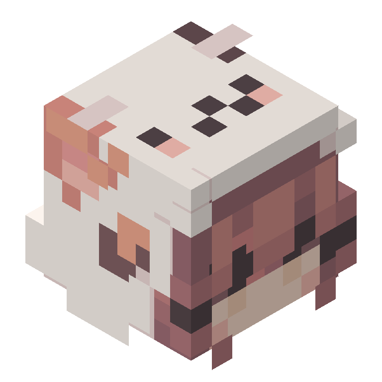 HEAD_ISO
