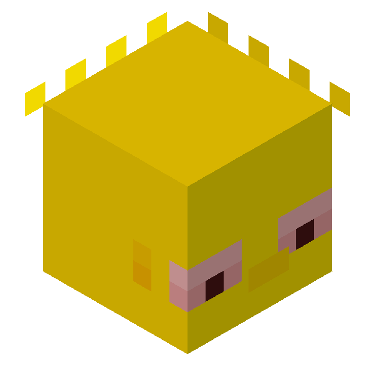 HEAD_ISO