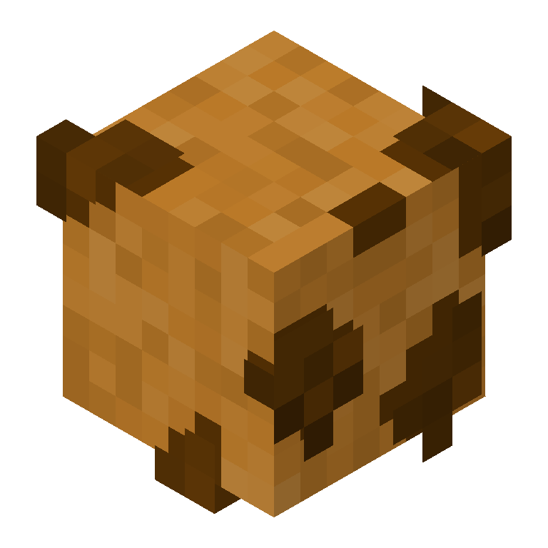HEAD_ISO