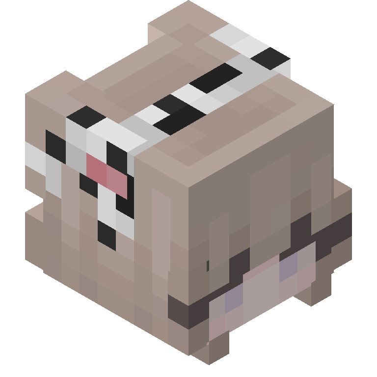 HEAD_ISO