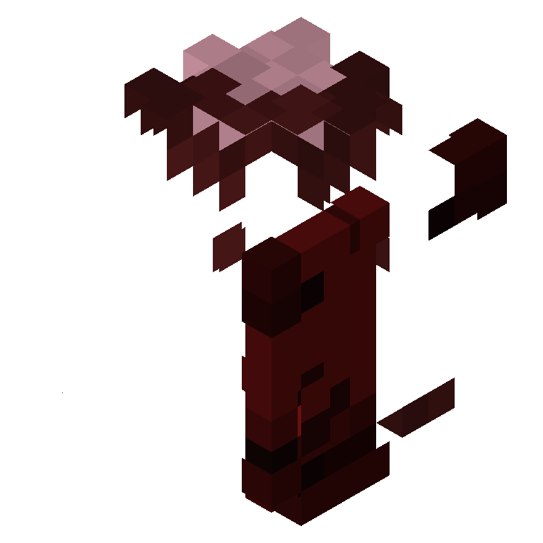 HEAD_ISO