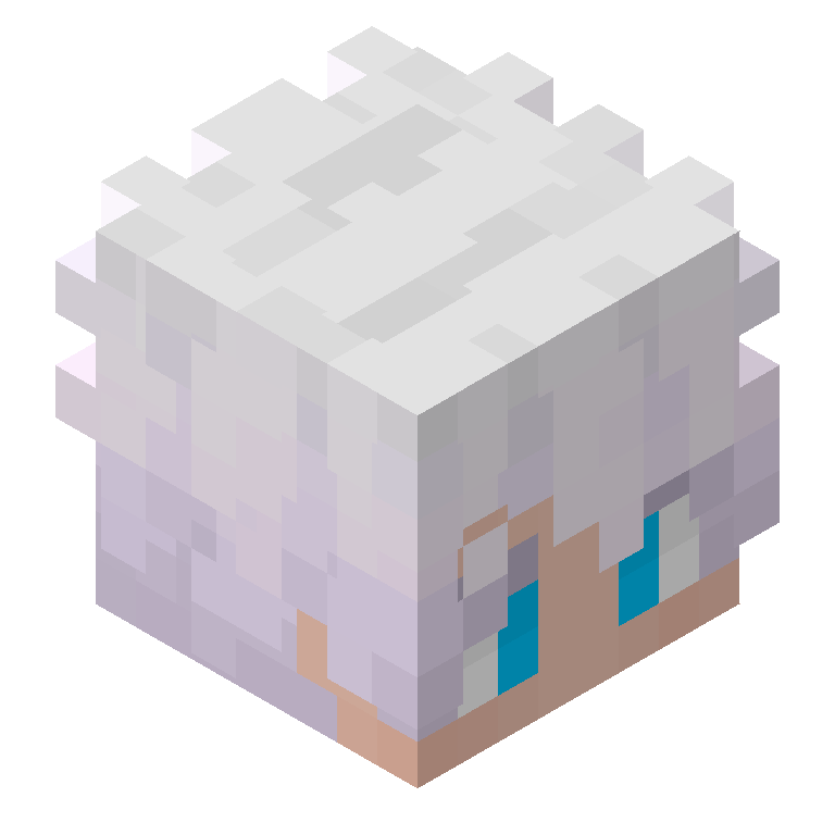 HEAD_ISO