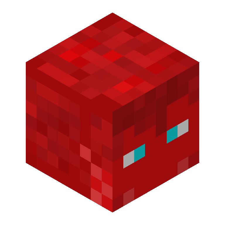 HEAD_ISO