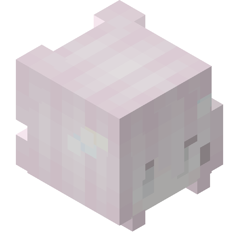 HEAD_ISO