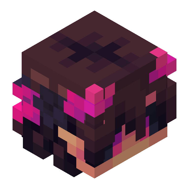 HEAD_ISO