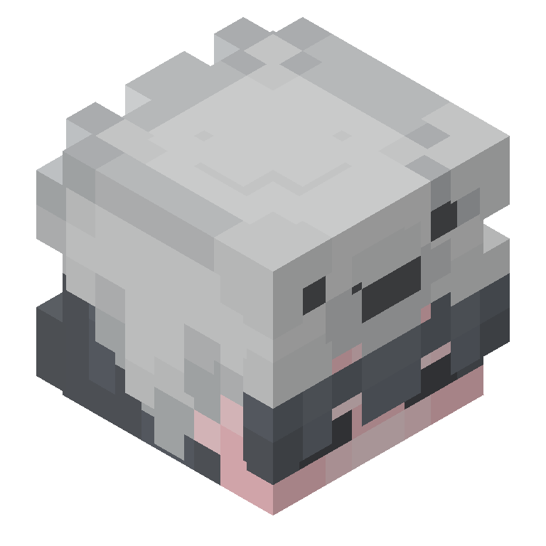 HEAD_ISO