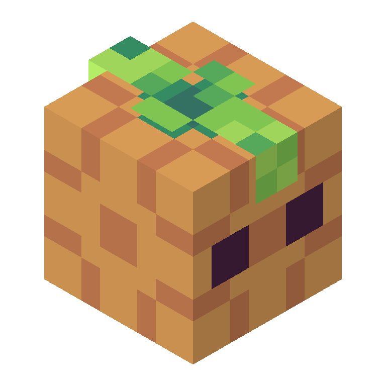 HEAD_ISO
