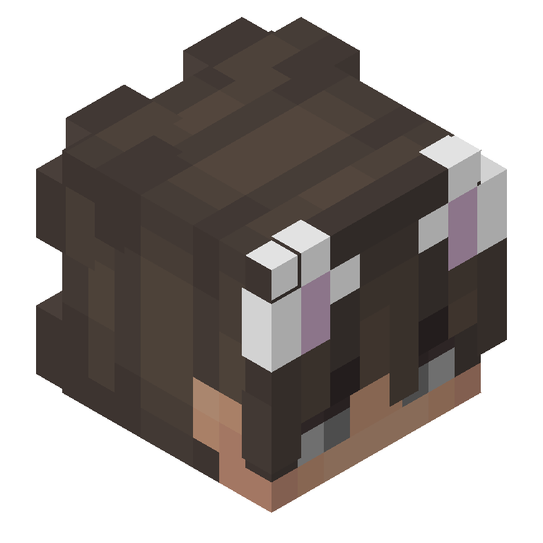 HEAD_ISO