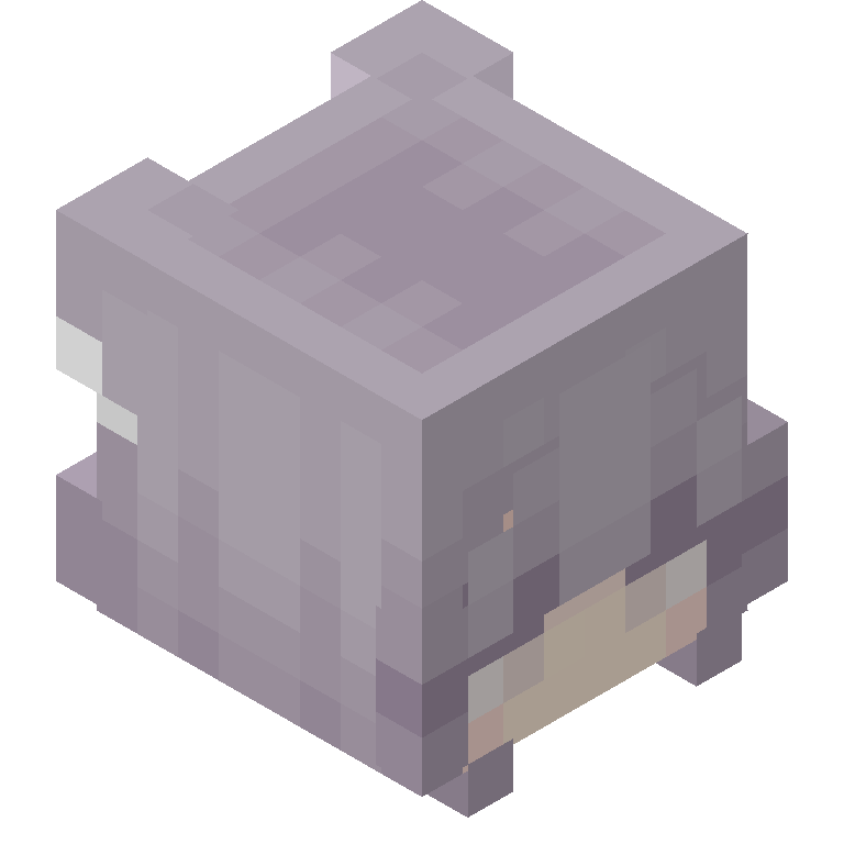 HEAD_ISO