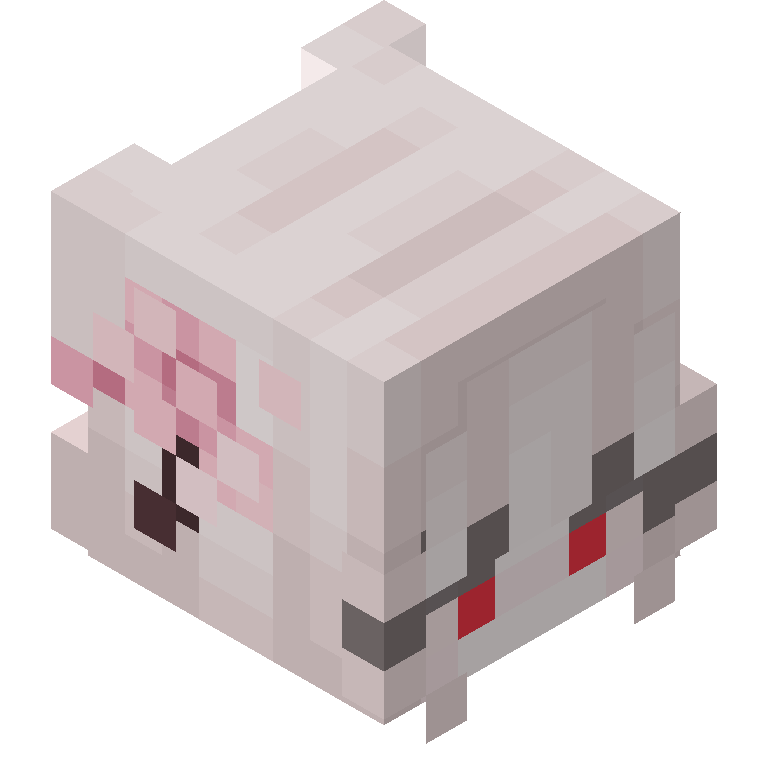 HEAD_ISO