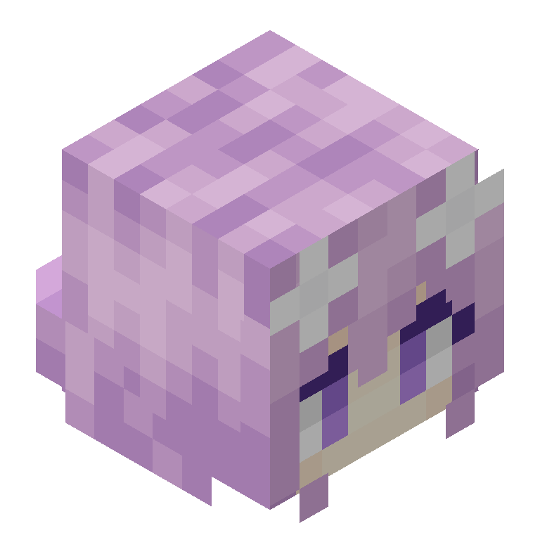 HEAD_ISO