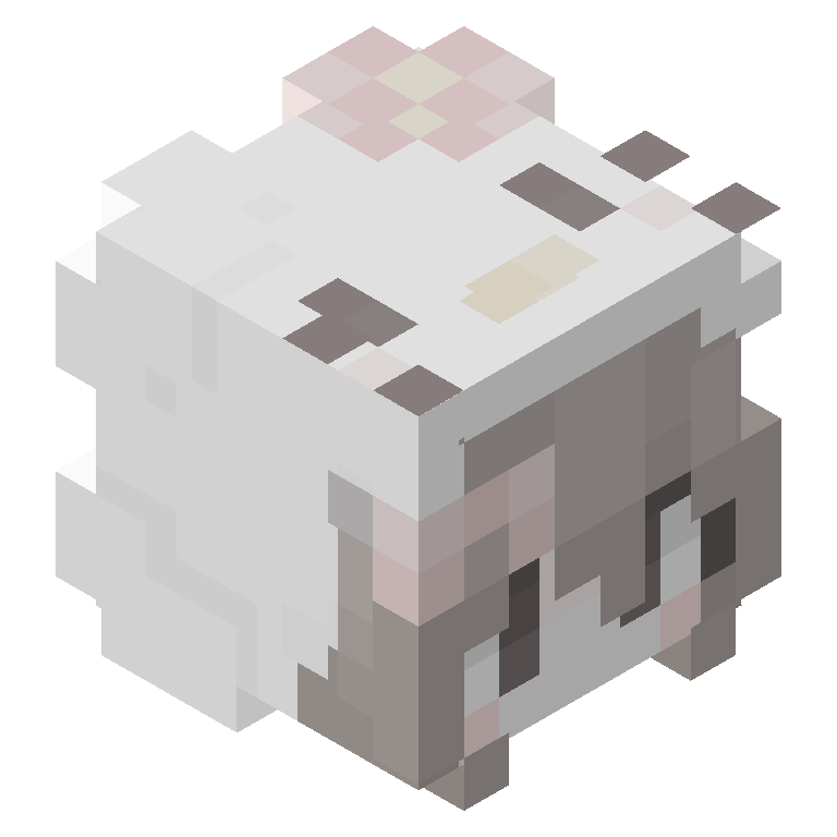 HEAD_ISO