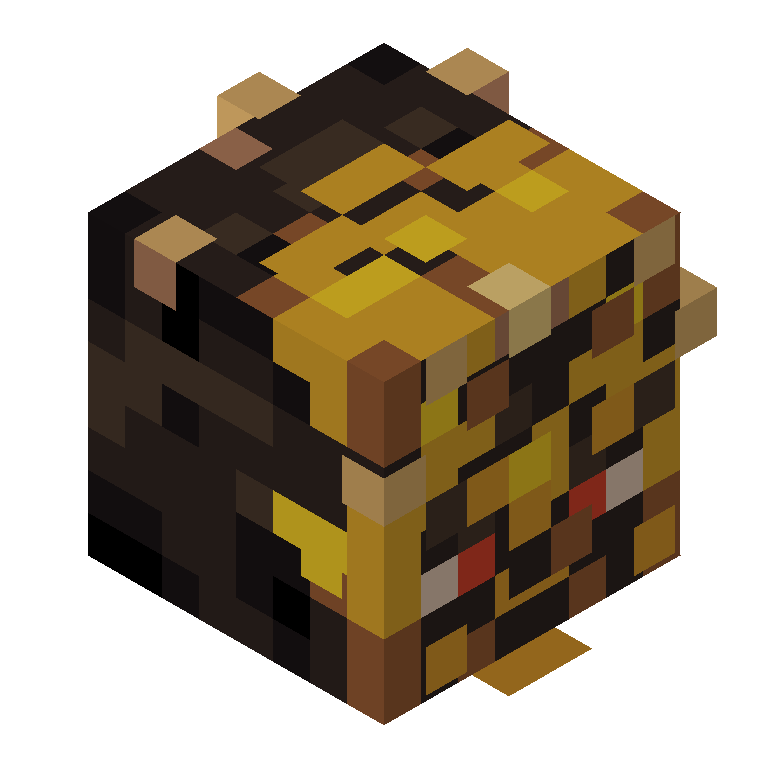 HEAD_ISO