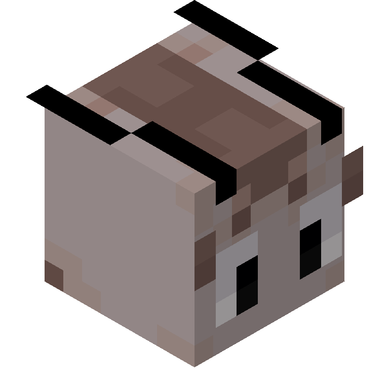 HEAD_ISO