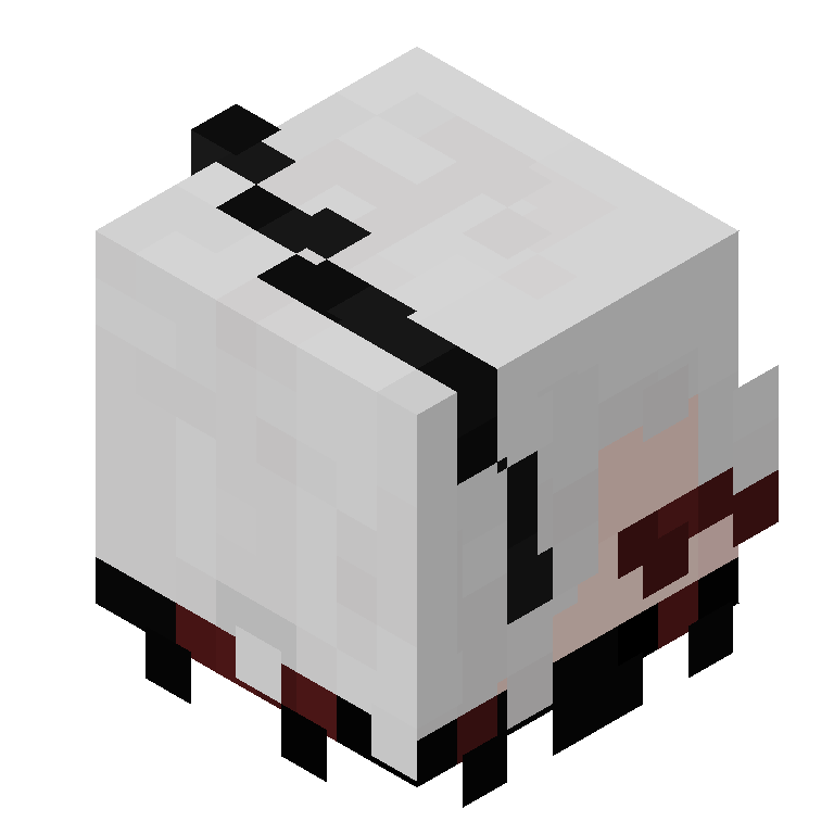 HEAD_ISO