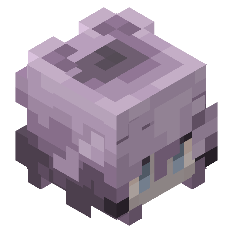 HEAD_ISO