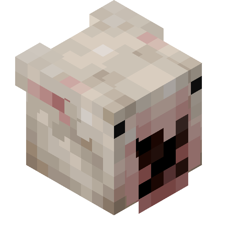 HEAD_ISO