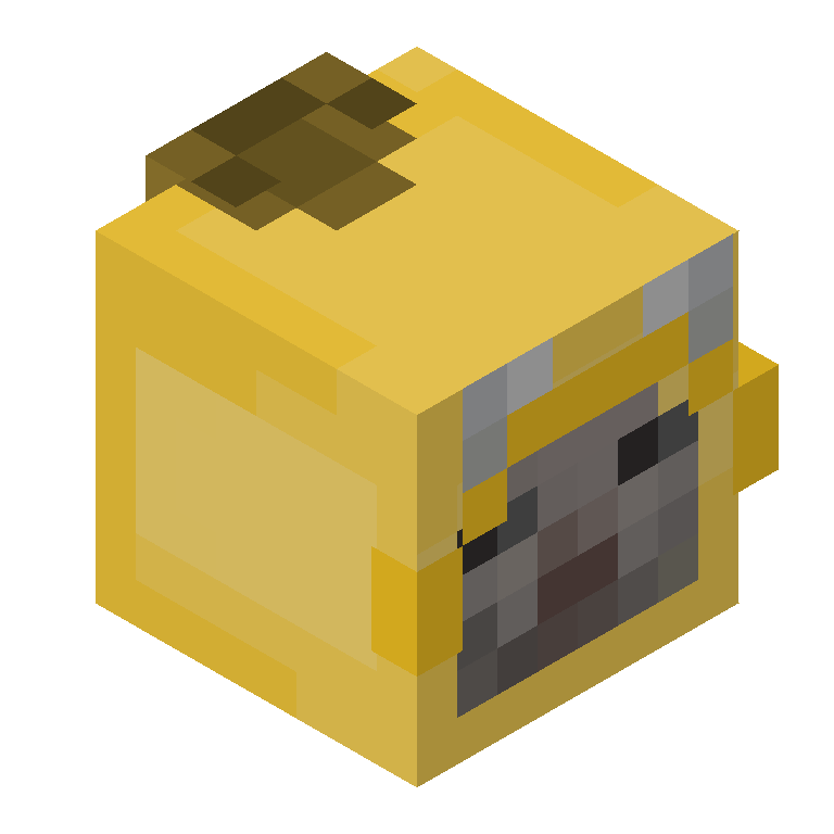 HEAD_ISO