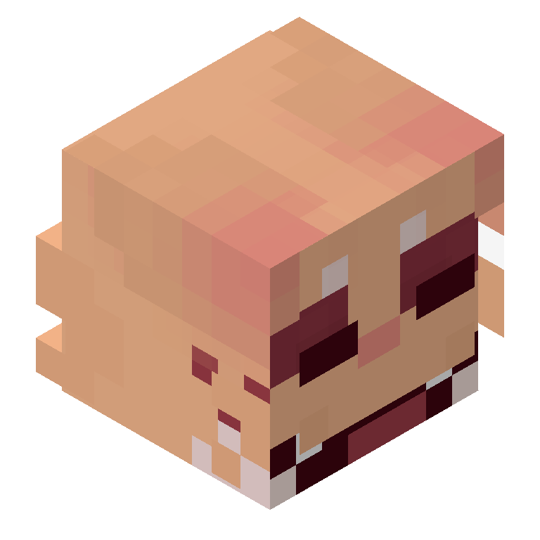 HEAD_ISO