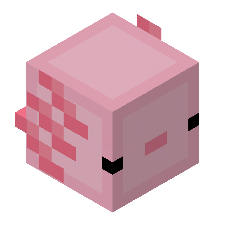 HEAD_ISO