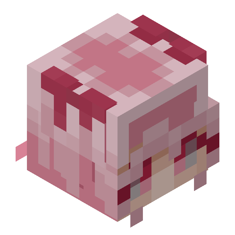 HEAD_ISO