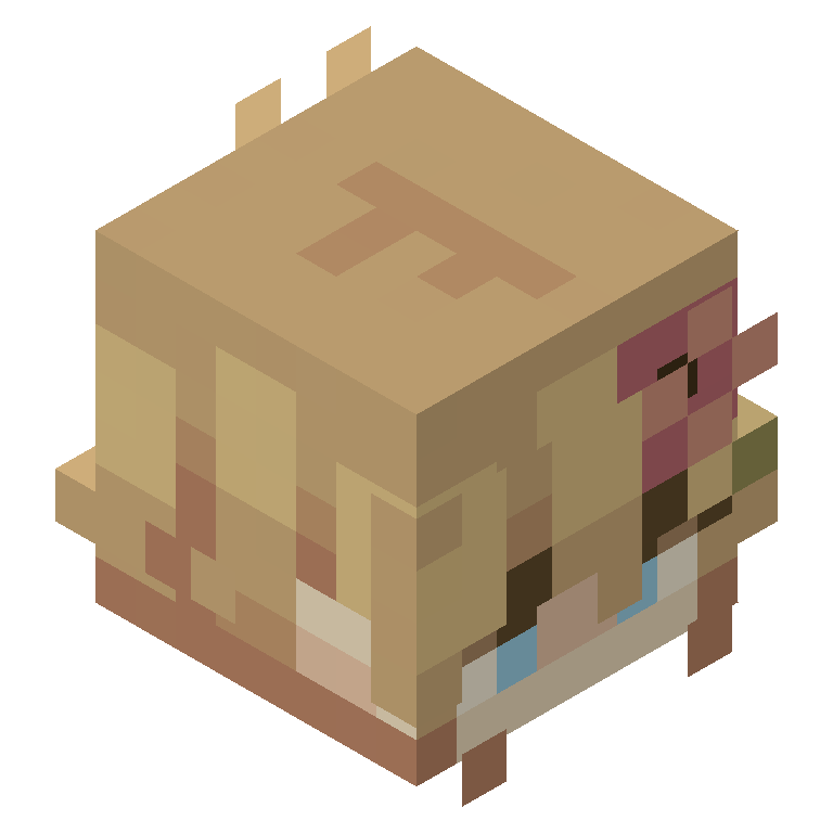 HEAD_ISO